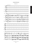 Wanhal, Johann Baptist: Symphonies, Vol. 1: 4 Symphonies (=AE054-057) (AEV1)