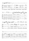 Michl, Joseph Willibald: Quartet in B-flat major for Bassoon and Strings (Schwemmer B XIX: 3.5) (AE605)