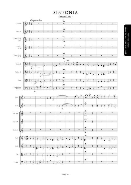 Wanhal, Johann Baptist: Symphony in D minor (Bryan Dm2) (AE055)