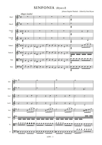 Wanhal, Johann Baptist: Symphony in E minor (Bryan e3) (AE290)