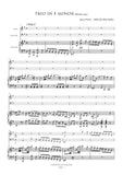 Pleyel, Ignaz: Piano Trio in E minor (Benton 435) (AE466)