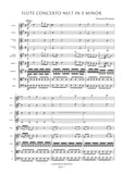 Devienne, François: Flute Concerto Nos. 1-12 (Digital Download only)