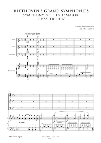 Hummel, Johann Nepomuk: Beethoven's Symphony No.3 in E-flat, Op.55 'Eroica' (AE571)