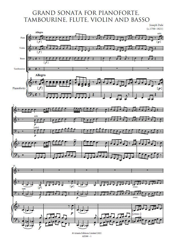 クラシック THE GREAT SONATAS FOR PIANO AND VIOLIN 61cHoUdC8fL._UF1000,1000_QL80_.jpg