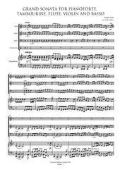 クラシック THE GREAT SONATAS FOR PIANO AND VIOLIN クラシック THE GREAT SONATAS FOR PIANO AND VIOLIN The Great
