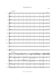 Pierre, Rode: Violin Concerto No. 13 in F-sharp Minor / A Major, Op. posth. (Rode013)