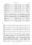 Pierre, Rode: Violin Concerto No. 3 in G Minor, Op. 5 (Rode003)